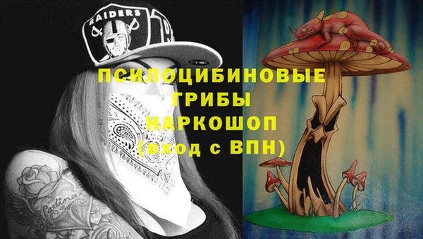 стафф Белокуриха