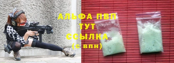 сатива Новодвинск