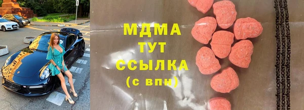 сатива Новодвинск