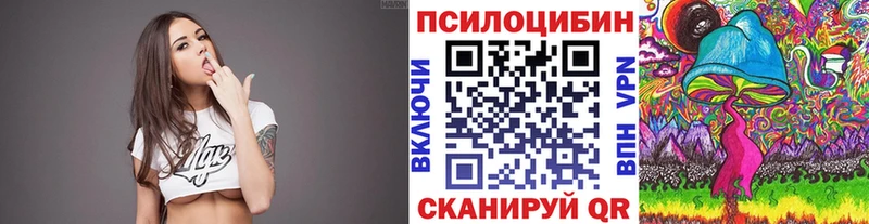 Галлюциногенные грибы мухоморы  закладка  Шагонар 